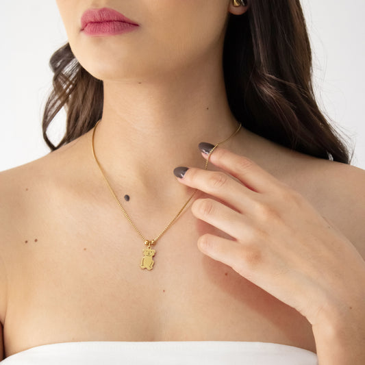 kit 2 collares gato y perro